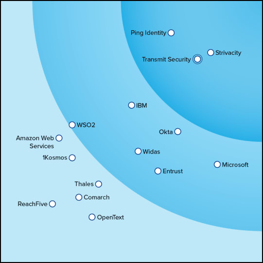 Graphic with company names connected by swirling blue lines