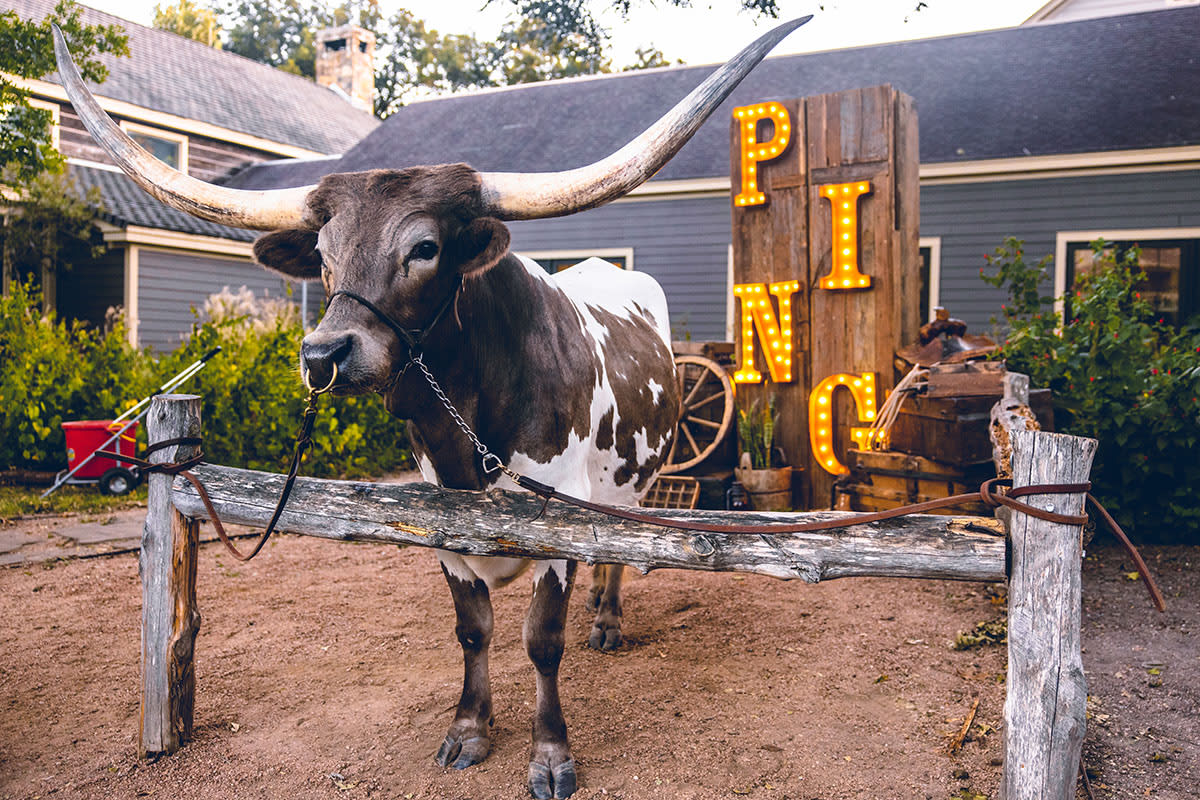 A photo of a stuffed Texas longhorn standing in front of a lit-up ‘Ping’ sign.