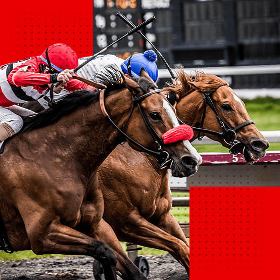Three jockeys racing horses on a track