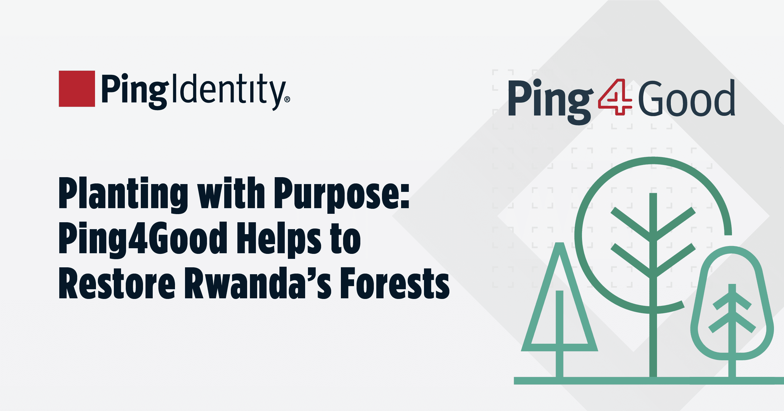 Planting for Purpose – Ping4Good Helps to Restore Rwanda’s Forests